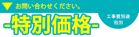 特別価格